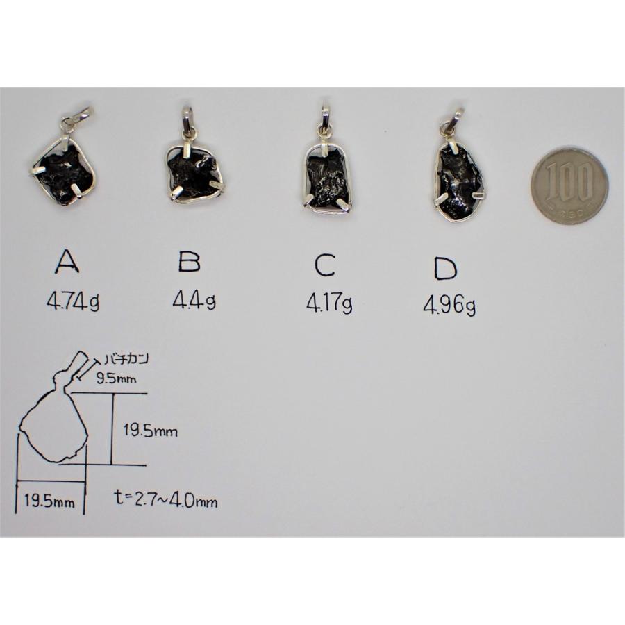 通販限定】シホテアリニ隕石 ペンダントトップ 4g台 シホテアリン