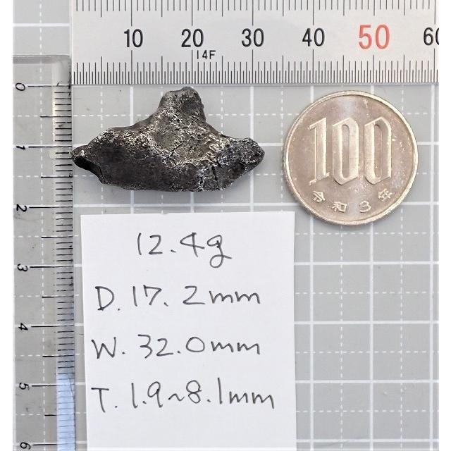 通販限定】シホテアリニ 隕石 原石 12.4g Sikhote-alin シホテアリン
