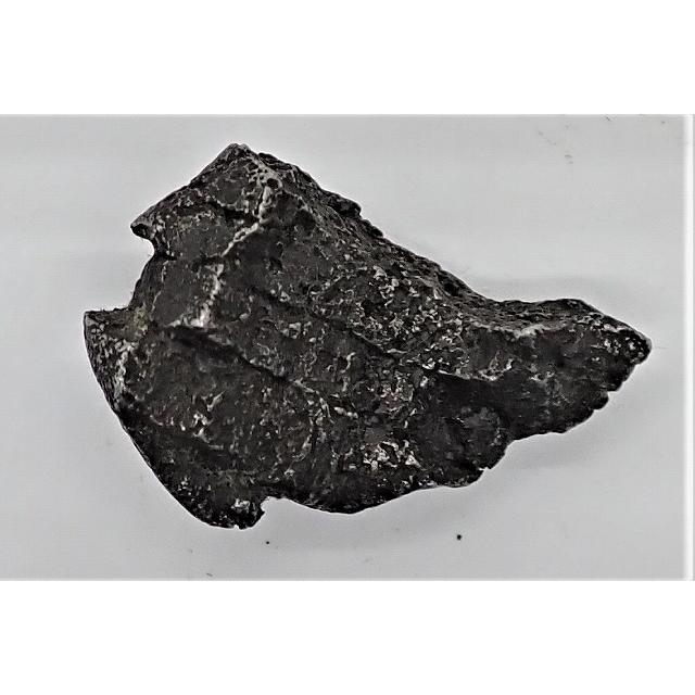 Sikhote-Alin シホテアリニ シホテアリン 約58.9㌘ 【公式通販】