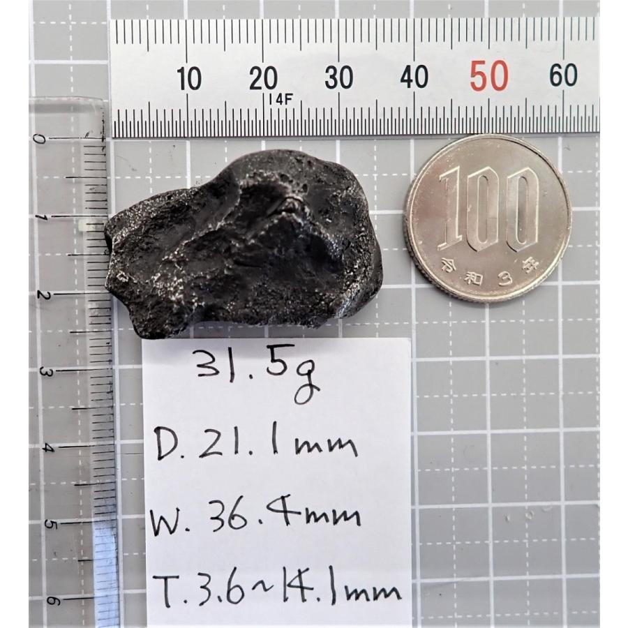 通販限定】シホテアリニ 隕石 原石 31.5g Sikhote-alin シホテアリン