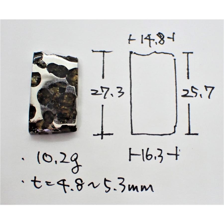 スプリングウォーター Springwater 10.2g 石鉄隕石 パラサイト スプリングウォーター Springwater 10.2g 石鉄隕石 パラサイト