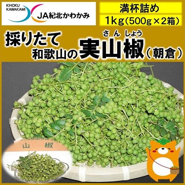 実山椒の商品一覧 通販 Yahoo ショッピング