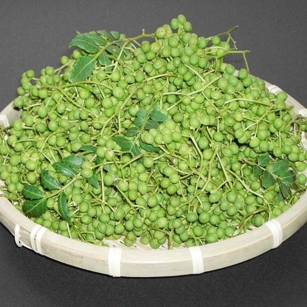 和歌山の実山椒 約2kg [山椒の実 生山椒 青山椒 朝倉 レシピ付き 