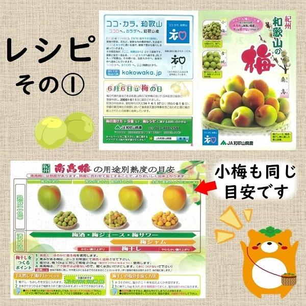 和歌山の梅 小梅 ｌサイズ 約４ｋｇ カリカリ梅 小さい梅干し等に うれしいレシピ付き Ja紀北かわかみ腕自慢 ヤフー店 通販 Yahoo ショッピング