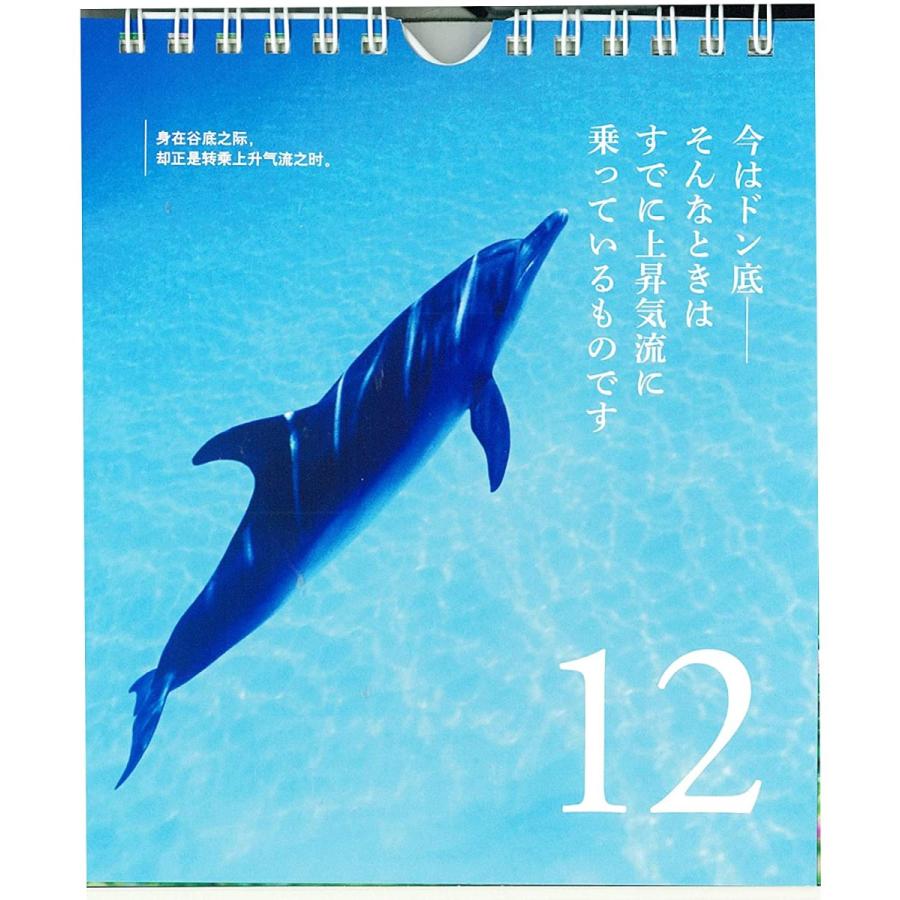 Taoist Sayings 前向きに生きる31の言葉 早島妙瑞の言葉より 日めくりカレンダー Udo 通販 Yahoo ショッピング