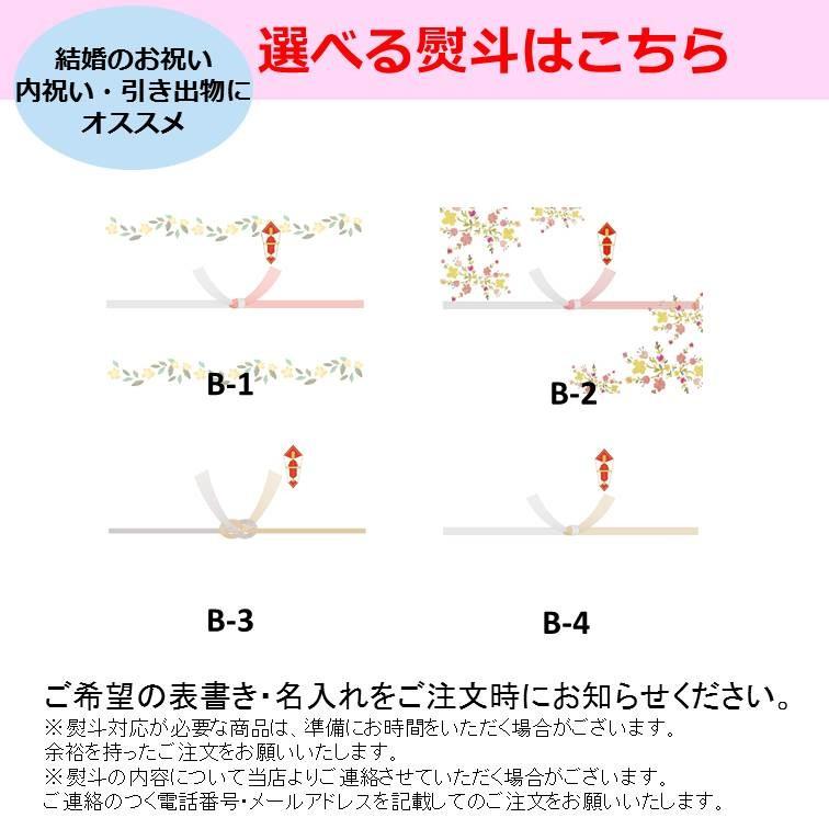 讃岐うどん お中元・お歳暮ギフト 岡坂商店 本場讃岐うどん「二番」 半生うどん　300g×9（めんつゆ付き）　化粧箱入り[熨斗名入れ対応] |  | 09