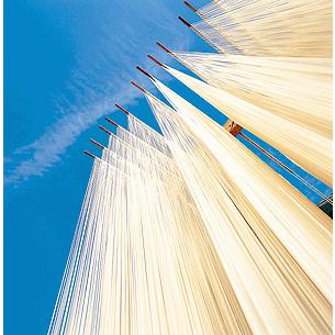 送料無料 小豆島手延べそうめん 島の光 上級赤帯 9kg(250g袋×36袋入)（約90人前） 小豆島手延素麺協同組合【保存・配布に便利!個包装タイプ】 |  | 05