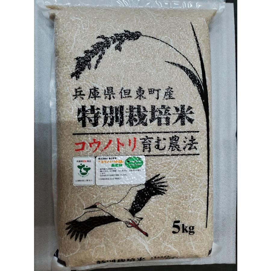 コシヒカリ 令和6年産 コシヒカリ玄米10kg コウノトリ育むお米 コシヒカリ 令和6年産 コシヒカリ玄米10kg コウノトリ育むお米