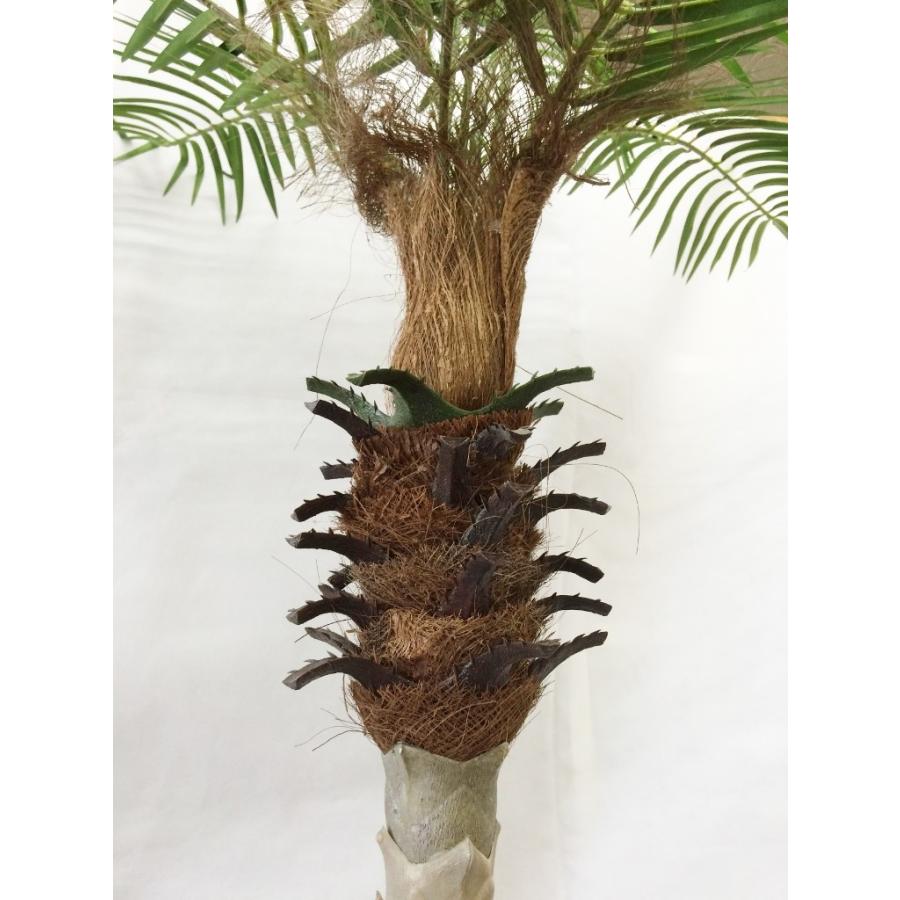 限定タイムセール ヤシの木 フェニックスパームツリー 人工観葉植物 全長210cm Whitesforracialequity Org