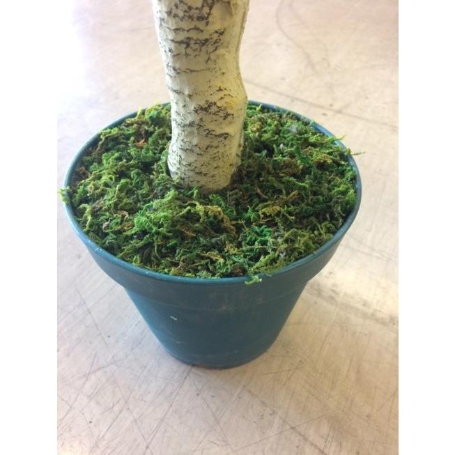 ユッカツリー(L) 人工観葉植物 全長210cmの画像