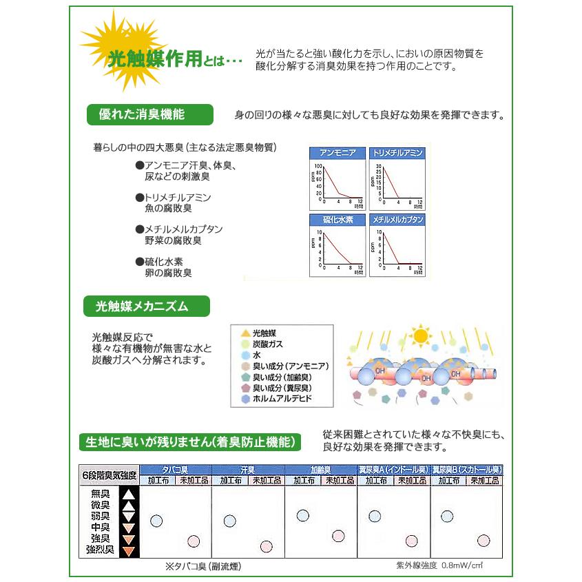 エアコンフィルター 同柄2枚入 消臭 ホコリ防止 取付け簡単 : 植田蚊帳