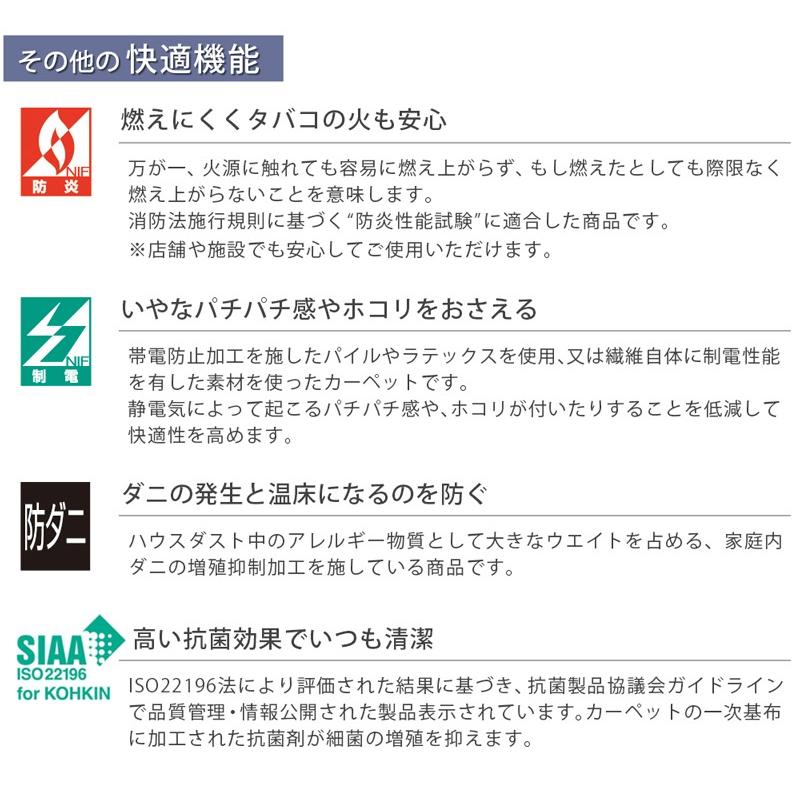 アスワン 廊下敷きマット(アスシャリオ2/CRO) 廊下 ロング アスワン 廊下敷きマット(アスシャリオ2/CRO) 廊下 ロング