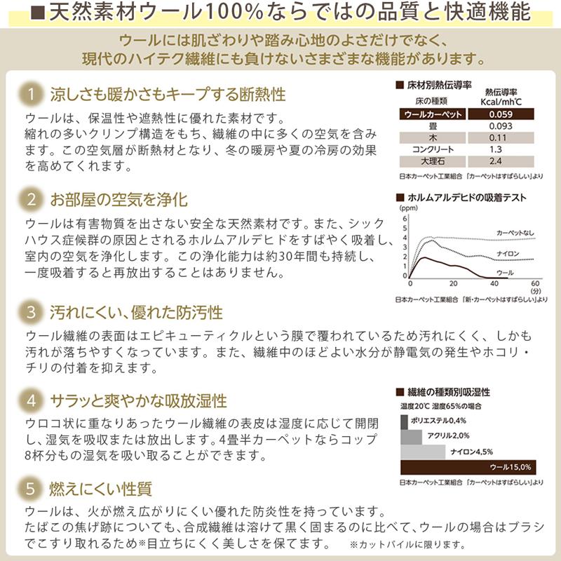 デスクカーペット ラグマット 防炎ラベル付 (アスデイジー/DSY) 消臭 抗菌 ファブリーズ 防ダニ 抗菌 遮音 日本製 ラグ カーペット 正方形 子供部屋