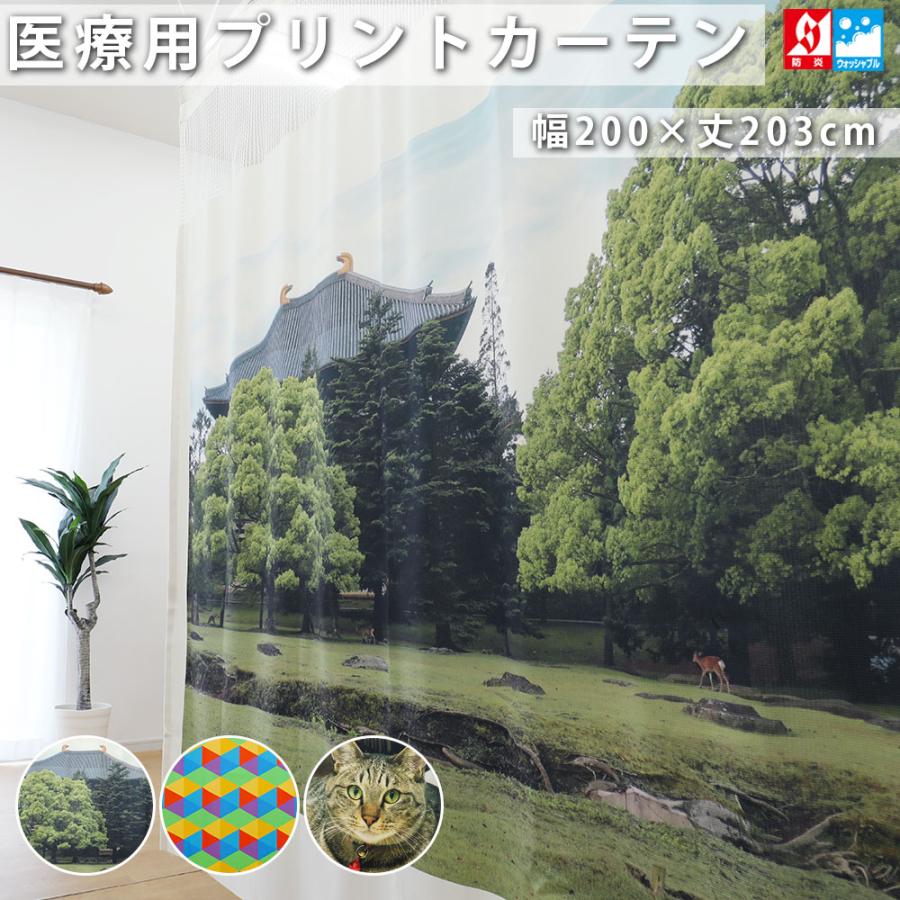 上部ネット30cm インクジェット プリント カーテン 幅200×丈203cm 防炎
