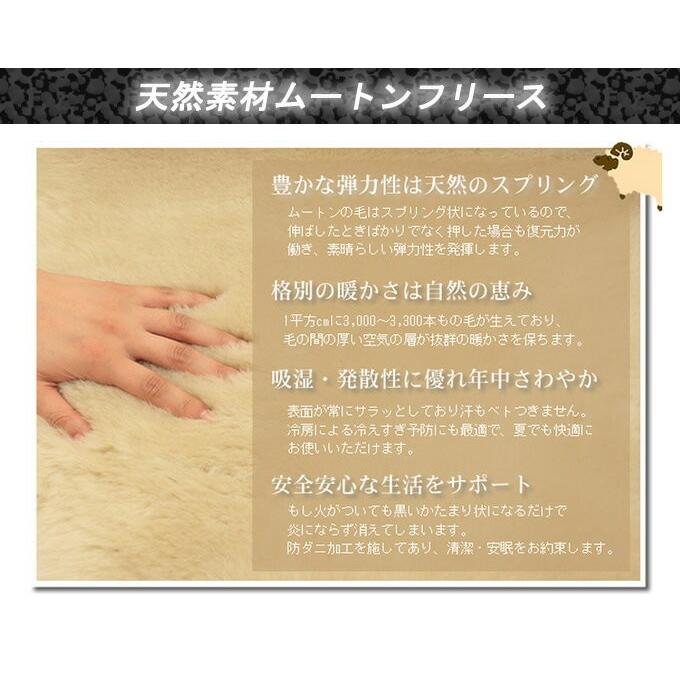 ニュージーランド産 ムートン ラグ 長毛 (6匹物 NL5560 ) : 植田蚊帳