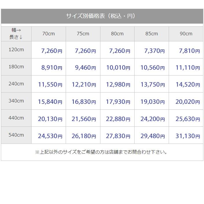 アスワン 廊下敷きマット (ニューアスポーター NPT) ロング アスワン 廊下敷きマット (ニューアスポーター NPT) ロング