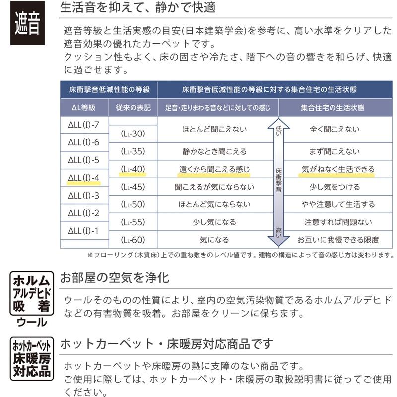 アスワン 廊下敷きマット (ニューアスポーター NPT) ロング アスワン 廊下敷きマット (ニューアスポーター NPT) ロング