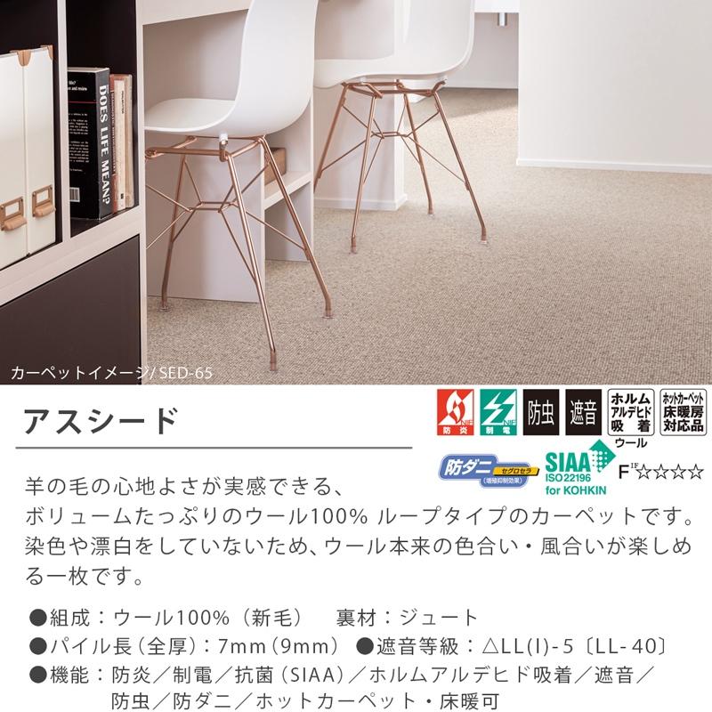 アスワン デスクカーペット ラグマット 防炎ラベル付 (アスシード/SED