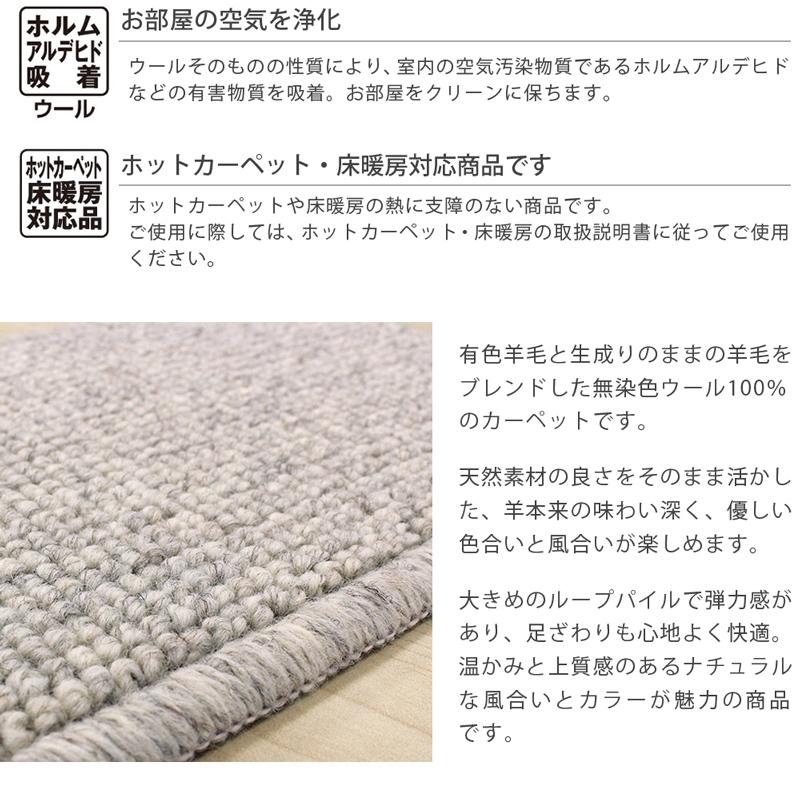 アスワン デスクカーペット ラグマット 防炎ラベル付 (アスシード/SED