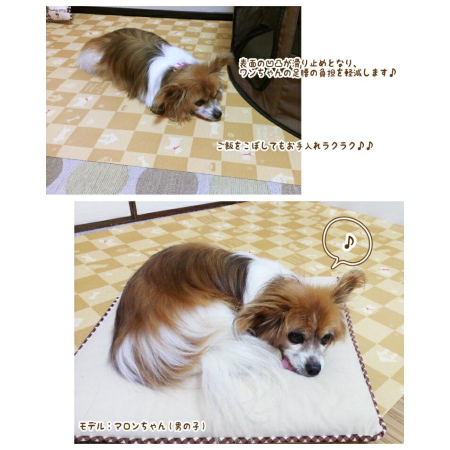 ペットマット2番人気 10cm単位切り売り ペット用防滑・消臭・防水床材