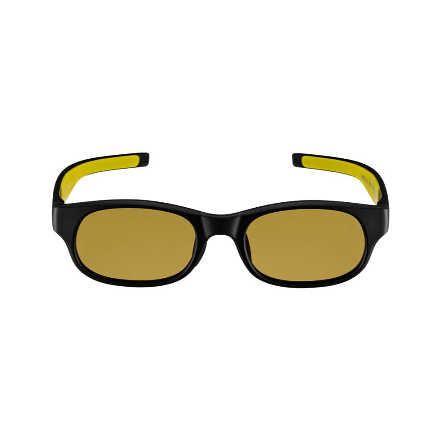 Eyevol DAMON 52 MBK-LY-MUPL　偏光レンズ アイヴォル サングラス_1