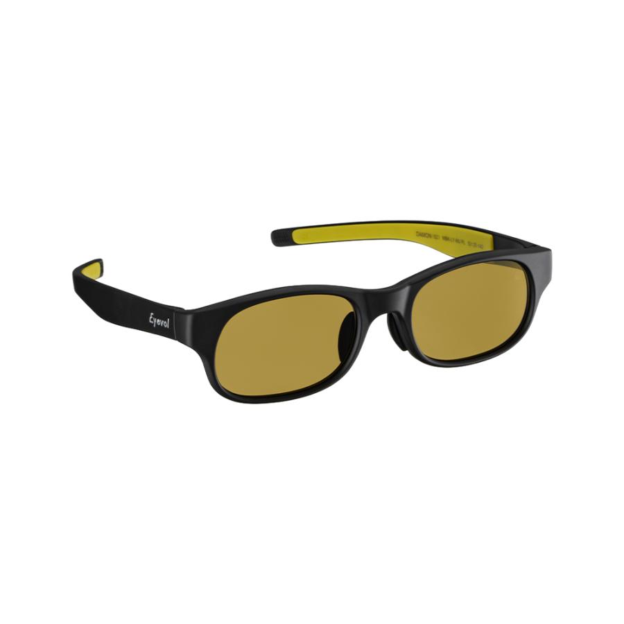Eyevol DAMON 52 MBK-LY-MUPL　偏光レンズ アイヴォル サングラス_2