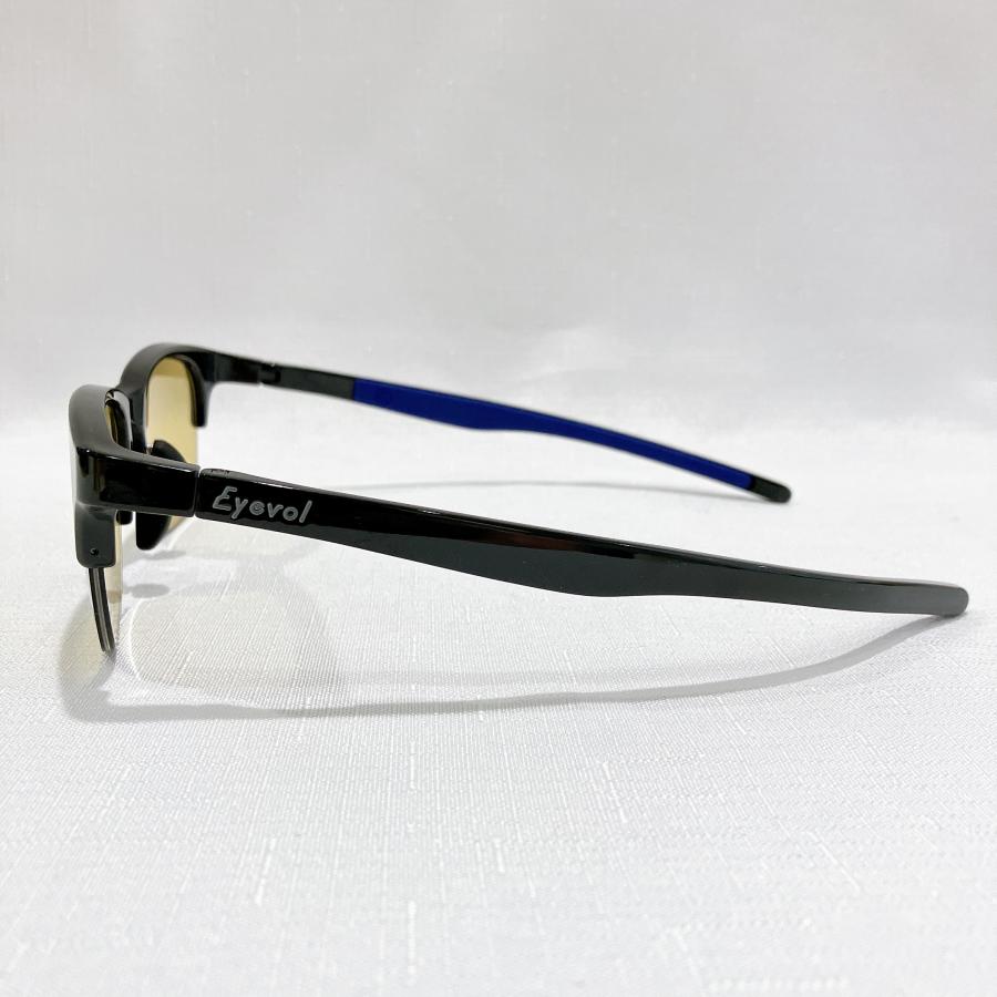 Eyevol（アイヴォル） Eyevol SHAW-HF 52 BK-v1-BR44 サングラス