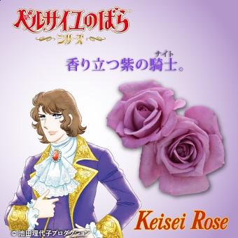 ばら大苗 ベルサイユのばらシリーズ フェルゼン伯爵 ラベンダー紫 四季咲中輪系 波状弁高芯咲 4 5号鉢植苗 京成バラ園芸 107 Rose Ks Le Comte Fersen 渋谷園芸 植木鉢屋 通販 Yahoo ショッピング