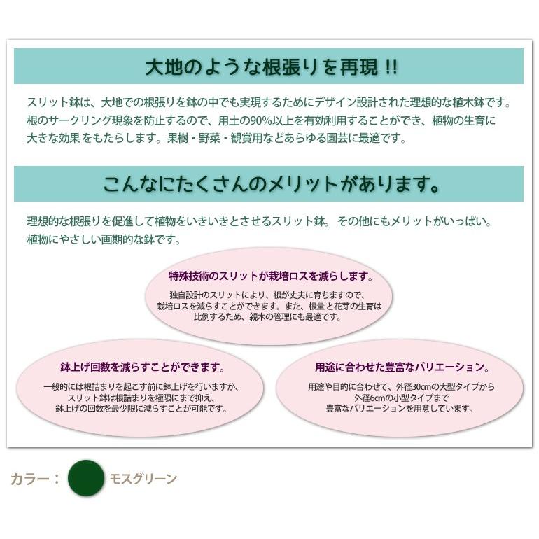 10鉢セットで更におトク♪】とんでもないポット直径12cm4号 深型 10鉢セットで更におトク♪】とんでもないポット直径12cm4号 深型