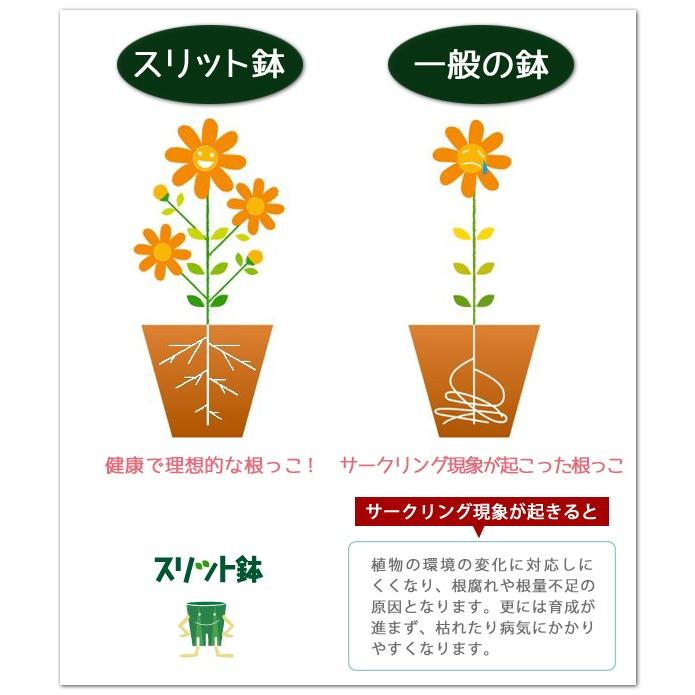 色々使える機能性プラスチック鉢 兼弥 スリット鉢 ロングタイプ とんでもないポットcsm 1l 4寸 4号 スタッキング ポリプロピレン 植木鉢 軽量 シンプル 51 Kaneya Csm 1l 渋谷園芸 植木鉢屋 通販 Yahoo ショッピング