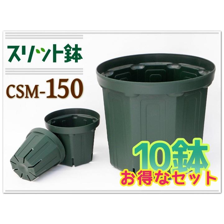 スリット鉢 ロングタイプ ＣＳＭ−１５０Ｌ ガーデニング １０個セット モスグリーン プランター1,188円