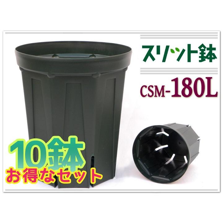 10鉢セットで更におトク♪】とんでもないポット 直径18cm6号 深 10鉢セットで更におトク♪】とんでもないポット 直径18cm6号 深