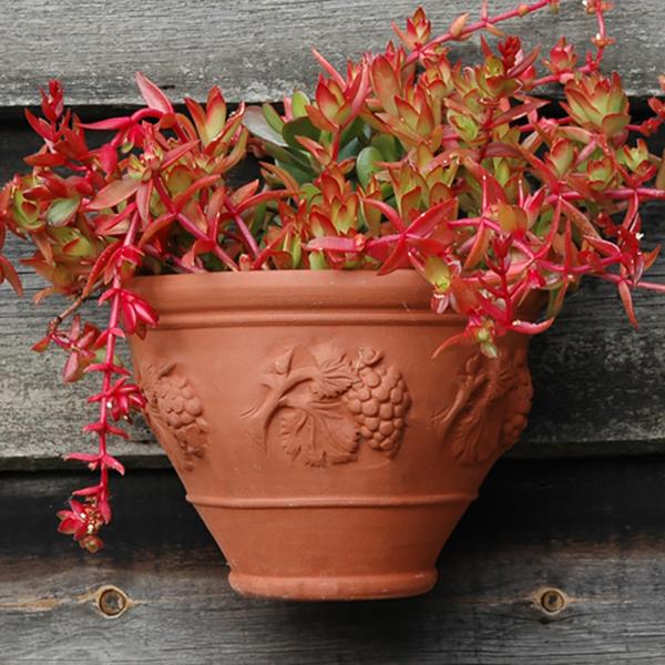 ウィッチフォード　テラコッタ　植木鉢　ヴァイン 壁掛け鉢　葡萄　8号鉢相当　英国製　Whichford VINE WALL