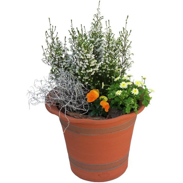 お1人様1点限り ウィッチフォード テラコッタ 植木鉢 パセリポット 9号鉢相当 英国 イギリス 製 Whichford Parsley Pot 超大特価 Atempletonphoto Com