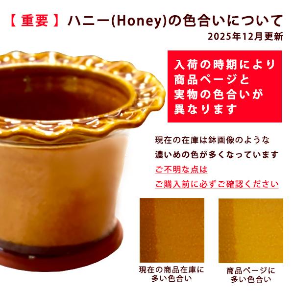 ウィッチフォード　植木鉢・塗り鉢　ウィズリー アップルツリー　4号鉢相当　英国製　APPLE TREE POT_4