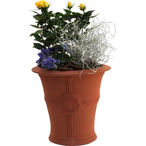 未使用 テラコッタ鉢 イギリス製 チューダーローズ Tudor Rose W 植物/観葉植物 オンライン販売