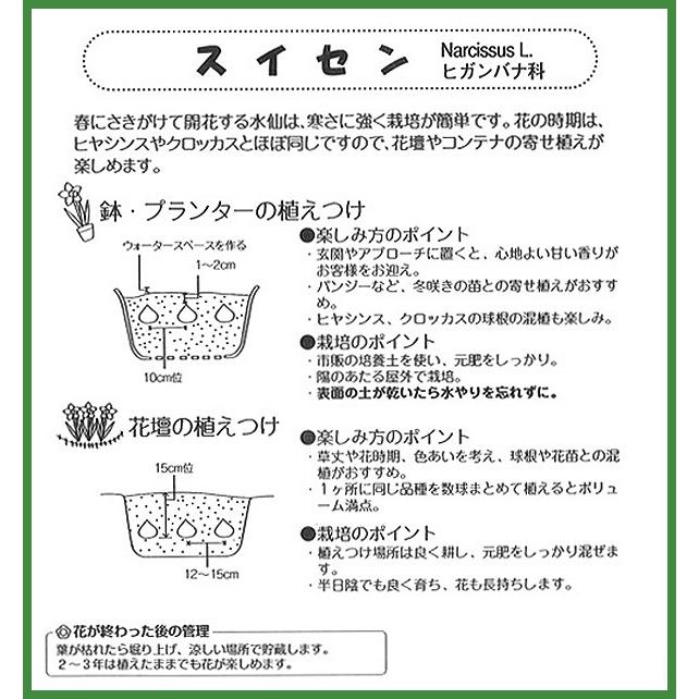 セール スイセン球根 スノーフレーク 白 3球絵袋入り スズラン水仙 早生咲き 秋植え球根 第四種郵便対応 72 Bulb Ka Narcissus Snowflake 渋谷園芸 植木鉢屋 通販 Yahoo ショッピング