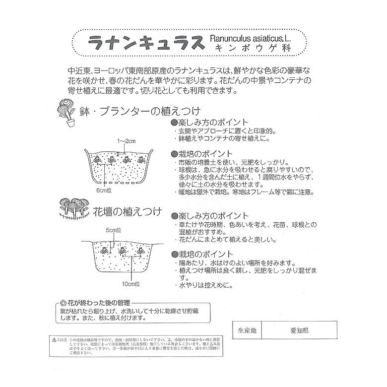 ラナンキュラス スペシャルミックス球根 アンティークカラー混合 パステルカラー混合 各4球入り 秋植え球根 J Garden 第四種郵便対応 72 Bulb Ka Ranunculus Mix 渋谷園芸 植木鉢屋 通販 Yahoo ショッピング