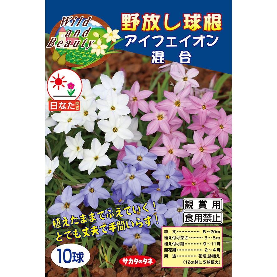 アイフェイオン球根 混合 野放し 絵袋10球入り 白 青 ピンク サカタのタネ 花壇 秋植え 第四種郵便対応 ハナニラ 花ニラ 72 Bulb Sa Ipheion Mix 渋谷園芸 植木鉢屋 通販 Yahoo ショッピング