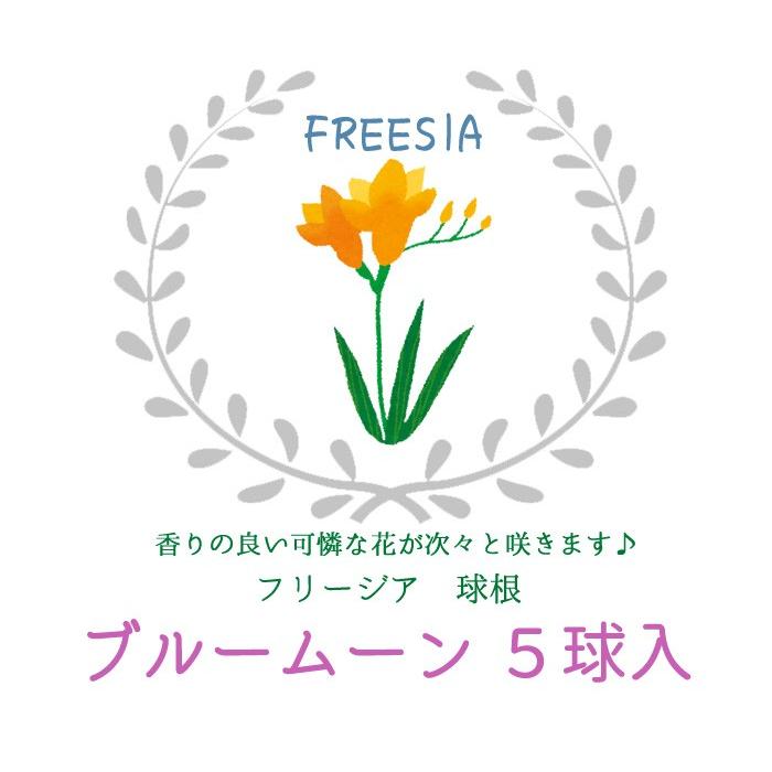 フリージア球根 ブルームーン 紫 絵袋5球入り 一重咲き タキイ種苗 切り花 秋植え 第四種郵便対応 72 Bulb Ta Freesia Bluemoon 渋谷園芸 植木鉢屋 通販 Yahoo ショッピング