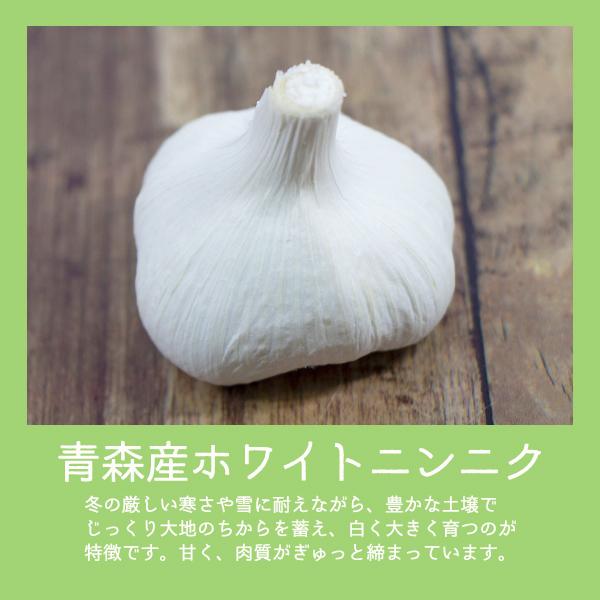 9月中旬よりお届け 野菜球根 青森産ホワイトニンニク 約100g入 にんにく 家庭菜園 コンテナ栽培に 夏 秋植え球根 第四種郵便発送可 72 Bulb Yasai Koka Garlic100 渋谷園芸 植木鉢屋 通販 Yahoo ショッピング