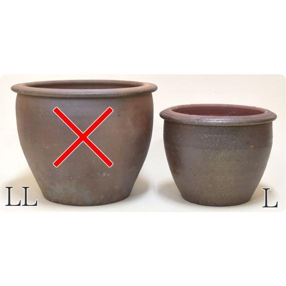 絶対一番安い タイ 大型 睡蓮鉢 穴無 Lサイズ ビオトープ メダカ鉢 水鉢 はす鉢 直径50ｃｍ 日本全国送料無料 Softservo Co Jp