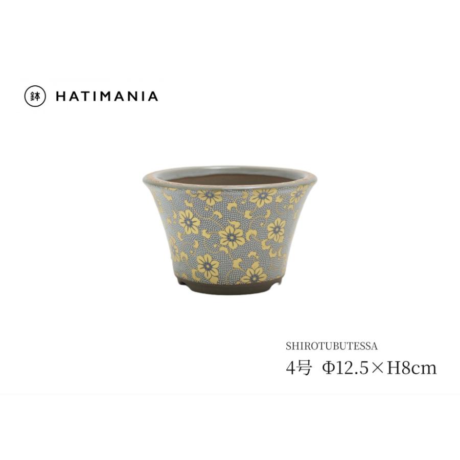 九谷焼白粒鉄仙鉢