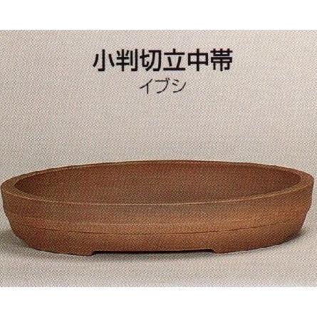 植木鉢 陶器 国産の陶器鉢 植木鉢 盆栽鉢 睡蓮鉢 ラン鉢 園芸用土 鹿沼土 赤玉土から ガーデニングのプランター仕立鉢山野草鉢まで園芸資材を販売 する専門店です 010y09 植木鉢 常滑焼 陶器 花 ガーデニング 25t09 010y09 ヤマコー畑岡幸助商店ヤフー店 和泉屋 小判