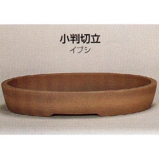 植木鉢 陶器 常滑焼 25T17【和泉屋】小判切立盆栽鉢(10号_イブシ)