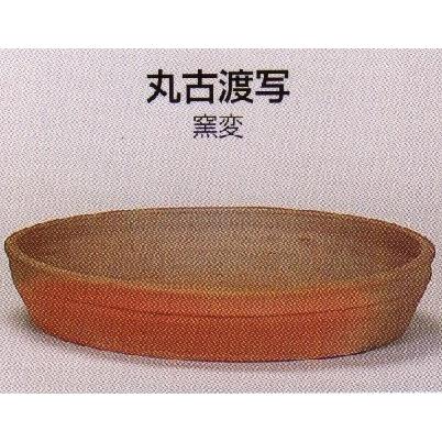 植木鉢 陶器 常滑焼 【角山】丸古渡写盆栽鉢(12号_窯変) : 012y58  