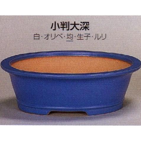 植木鉢 陶器 陶器 常滑焼 小判大深盆栽鉢 15号 均 03t05 国産の陶器鉢 植木鉢 盆栽鉢 睡蓮鉢 ラン鉢 園芸用土 鹿沼土 赤玉土から ガーデニングのプランター仕立鉢山野草鉢まで園芸資材を販売する専門店です 043y04 植木鉢 誠山 小判大深盆栽鉢 15号 均 03t05 043y04
