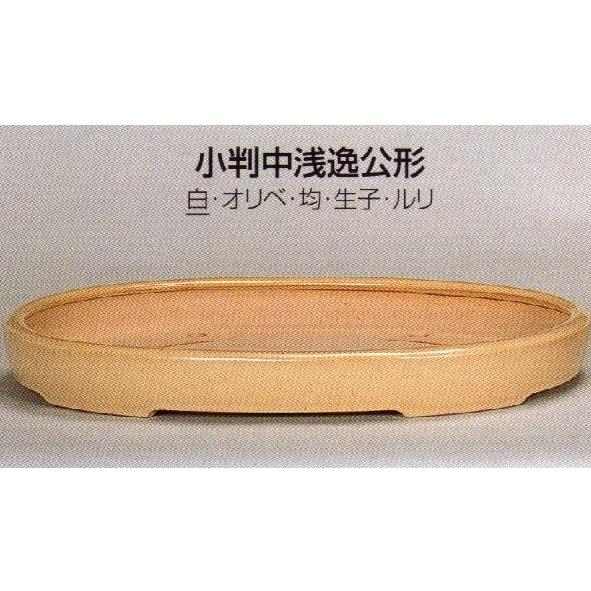 植木鉢 陶器 常滑焼 小判中深逸公形盆栽鉢(21号_白)05T13