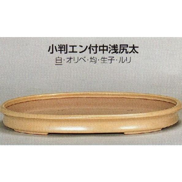 21新発 植木鉢陶器常滑焼 誠山 小判エン付中浅尻太盆栽鉢 15号 白 05t23 世界有名な