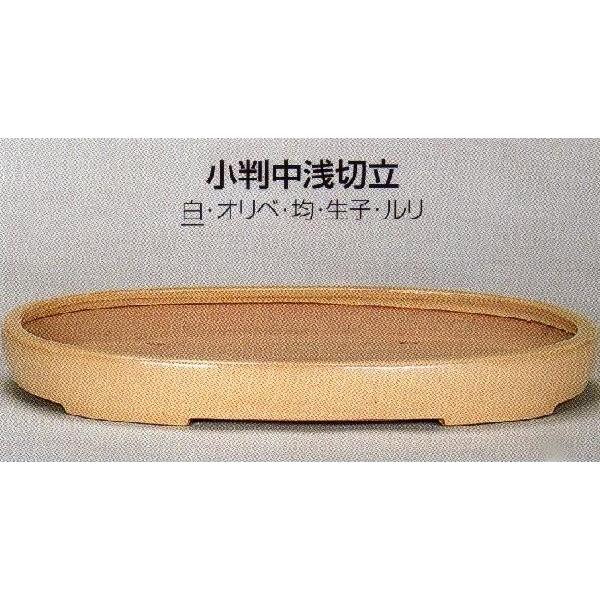 植木鉢 陶器 常滑焼 小判中浅切立盆栽鉢(21号_白)05T36